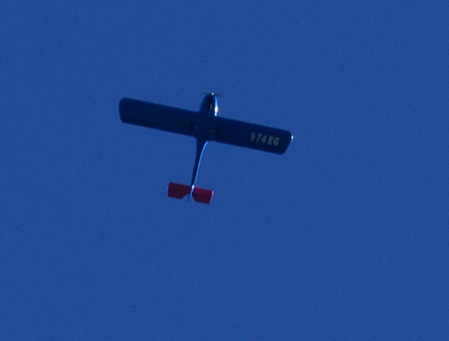 20150407_0933_974eg.jpg