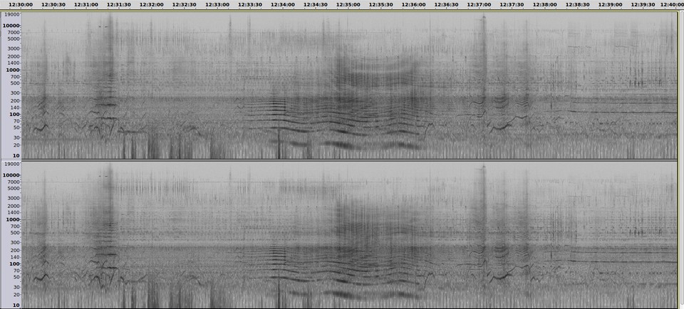 20201011-1030-1040