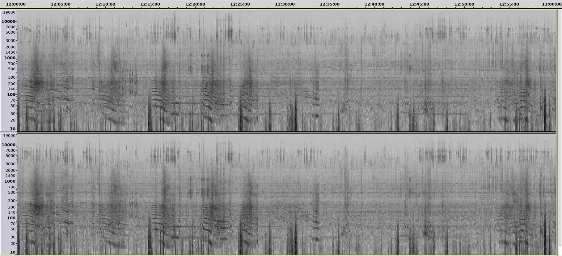 20201019-10H-11