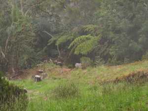 201301171308.jpg