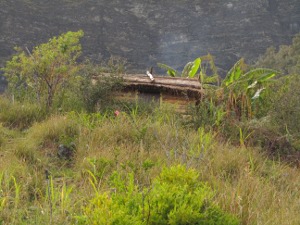 201301191618-.jpg