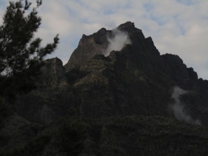 201301191822b-.jpg