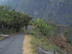 201301191841-.jpg