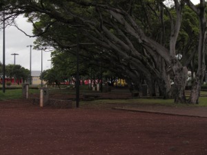 201301260945-.jpg