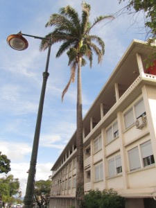 201301261304-.jpg