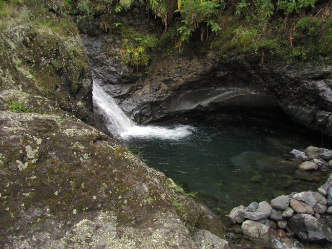 201302121133-.jpg
