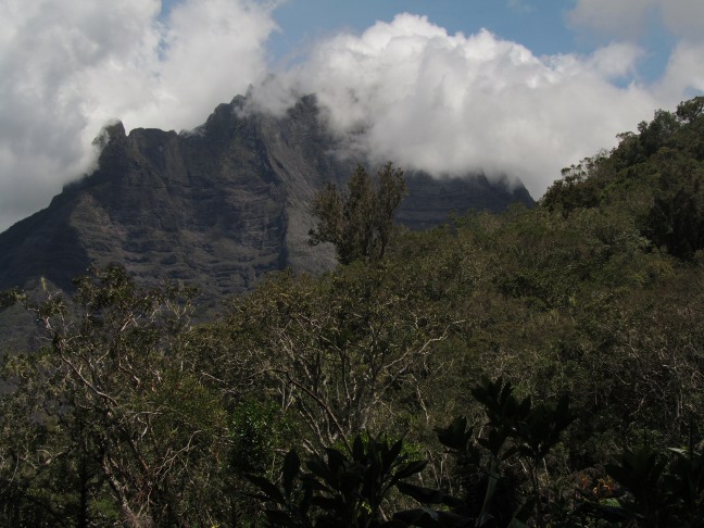 201302231150-grand-benare-vu-du-bonnet-carre-.jpg