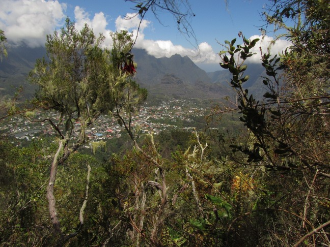 201303041239-.jpg