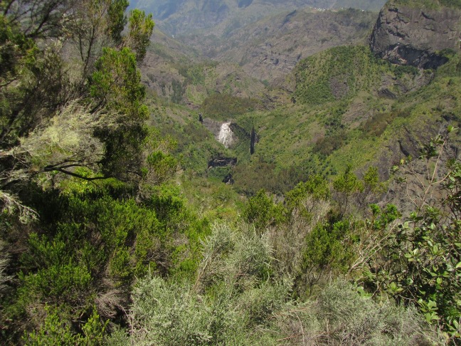 201303051225-.jpg