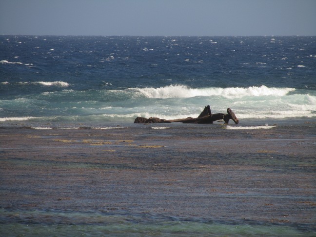 201303071519-.jpg