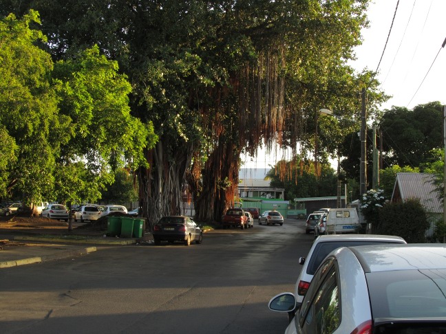 201303071805-.jpg