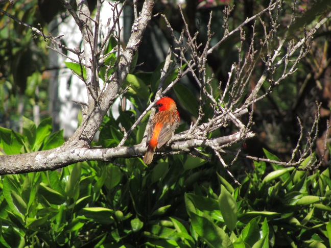 201303100951-.jpg