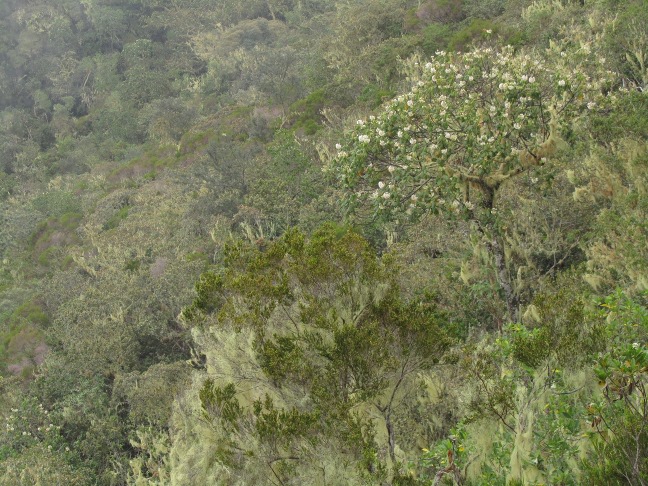 201303151227-.jpg