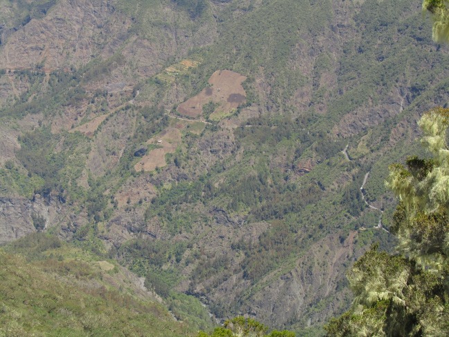 20130316120017-.jpg