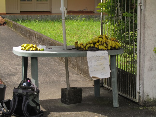 201303181117-.jpg