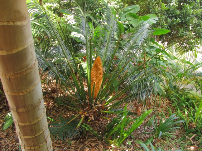 201303181127-.jpg