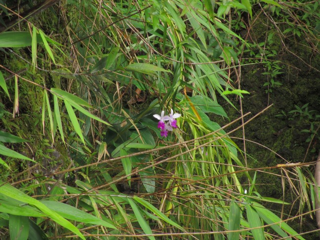 201303181239-.jpg