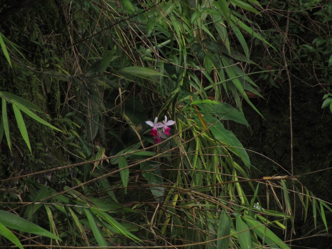 201303181243-.jpg