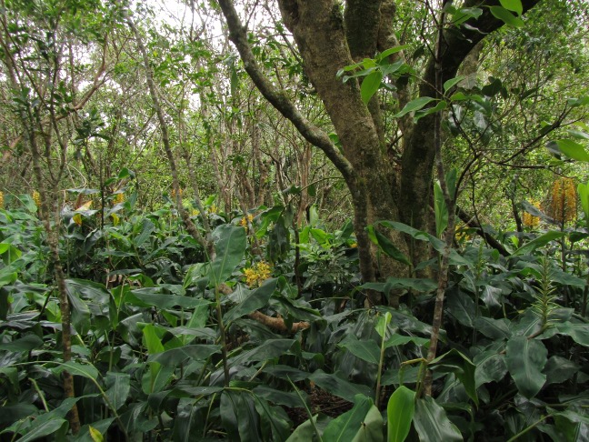 201303241214-.jpg