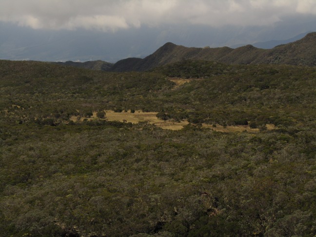 201303261141-.jpg