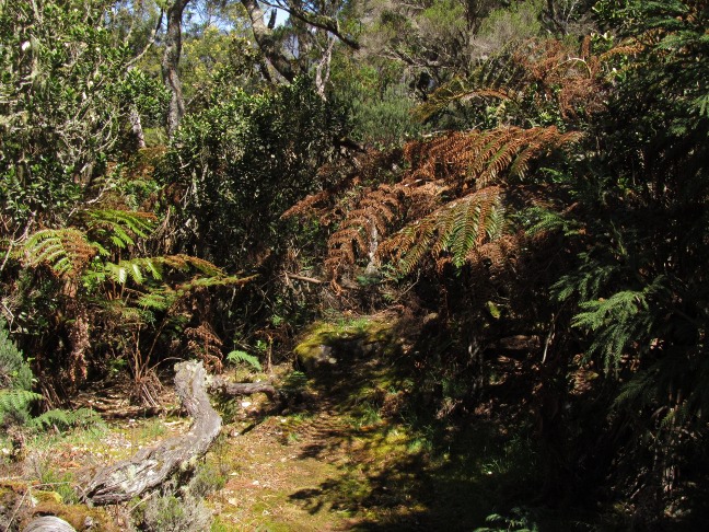 201309251105-.jpg