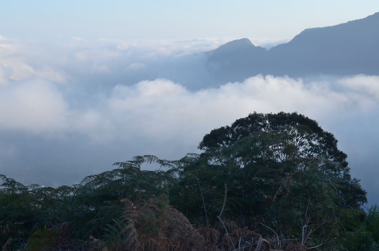 201309281717-.jpg