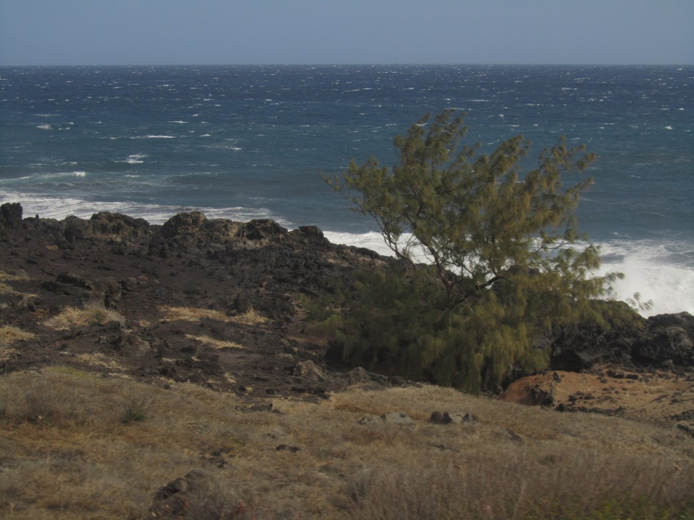 201310021505-.jpg