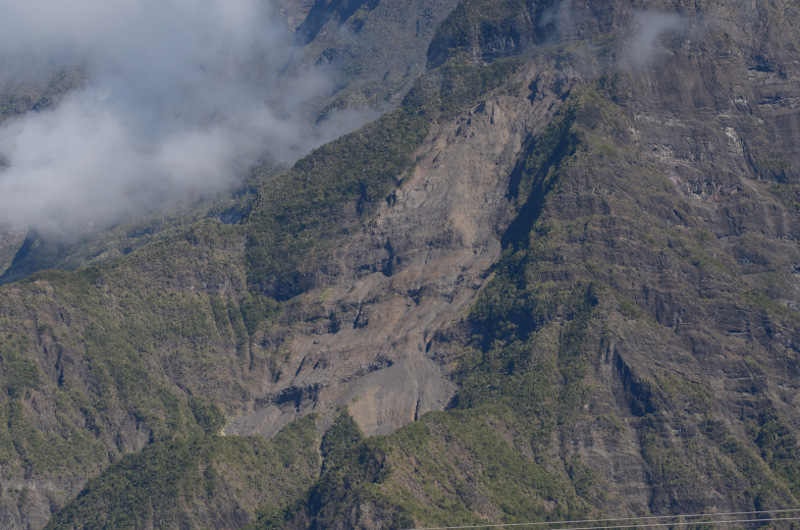 2015-09-10_092809_105mm_ebouli-de-piton-fleurs-jaunes-.jpg