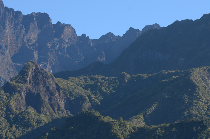 2015-09-12_081706_105mm_gros-morne_tete-de-lion_bonnet-carre_au-premier-plan-.jpg