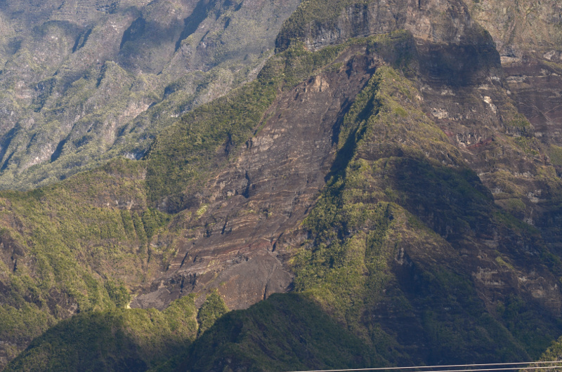 2015-09-14_081358_ebouli-piton-fleurs-jaunes