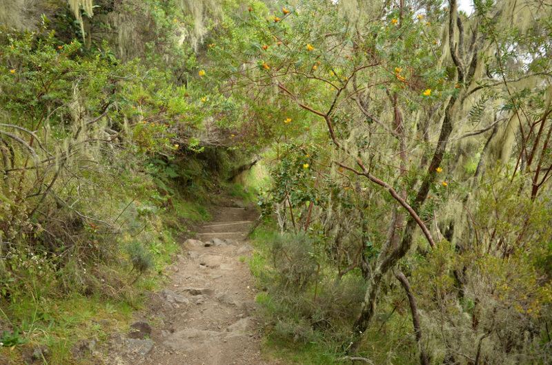 2015-11-02_151507_descente-taibit-.jpg