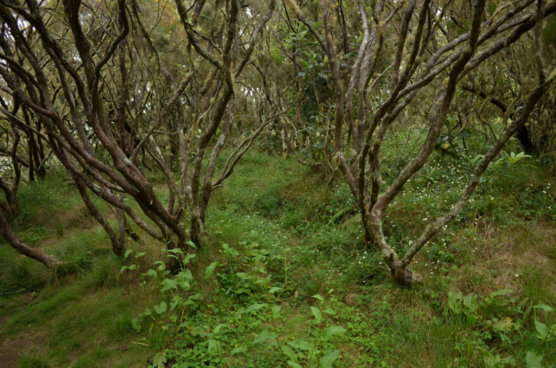 2015-11-02_152122_sentier-taibit-.jpg