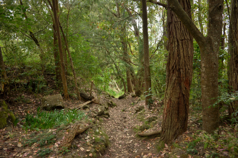 2015-11-02_160837_sentier-taibit-ilet-des-salazes-.jpg