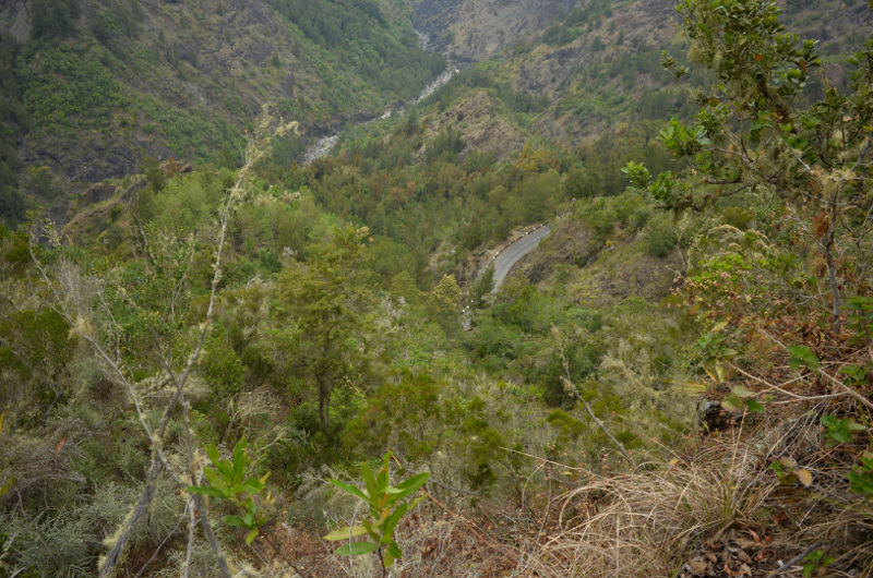 2015-11-02_162531_sentier-taibit-.jpg